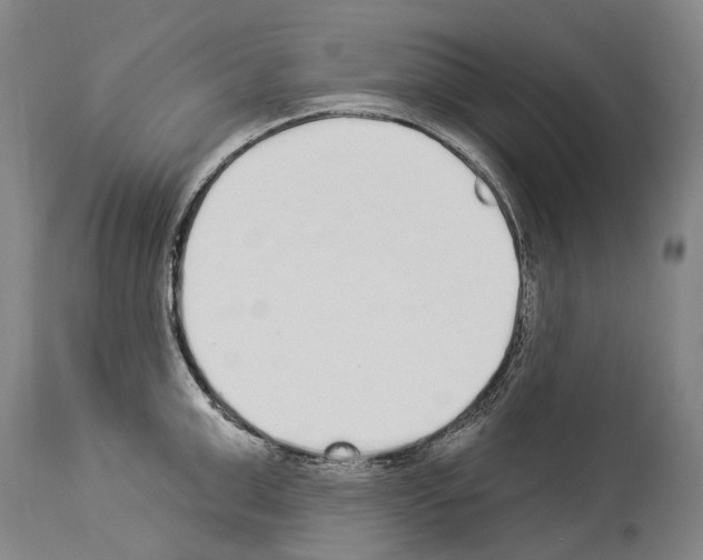 X0000114030999200911131245