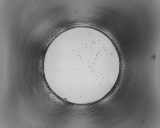 X0000114031001200911131245