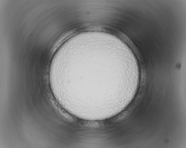 X0000114031002200911131245