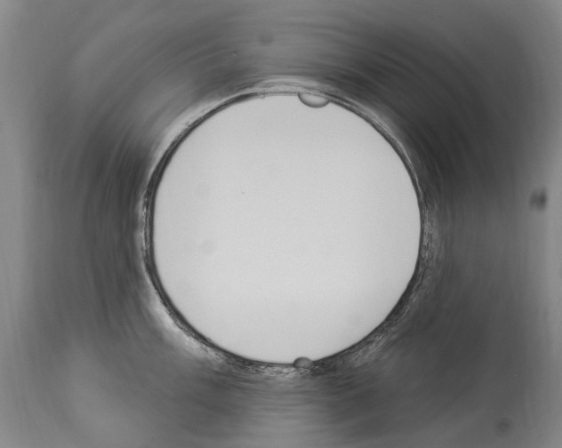 X0000114031003200911131245