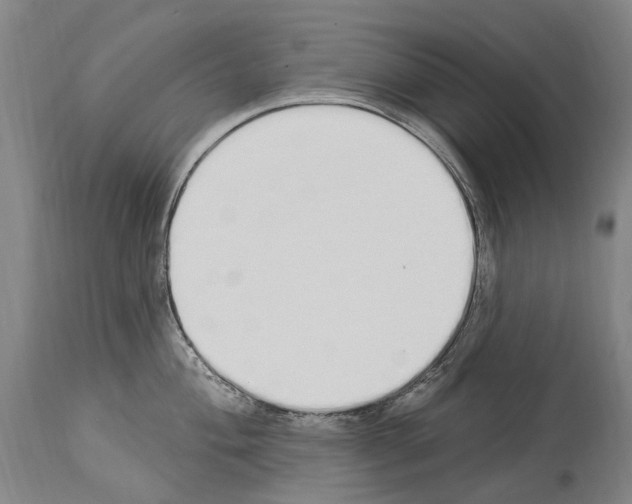 X0000114031004200911131245