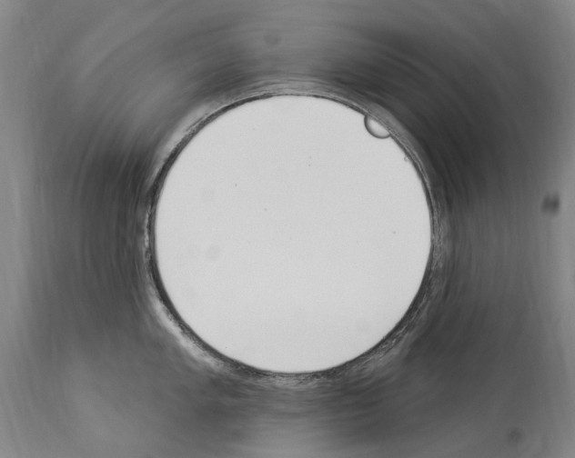 X0000114031005200911131245