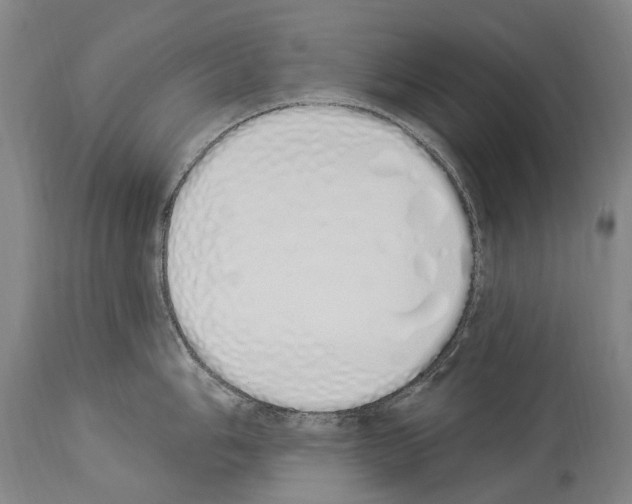 X0000114031006200911131245