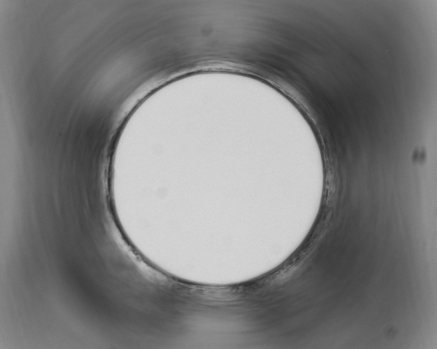 X0000114031007200911131245