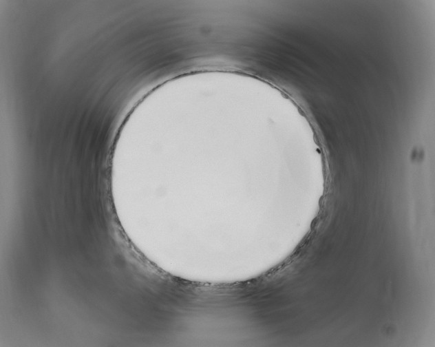 X0000114031008200911131245