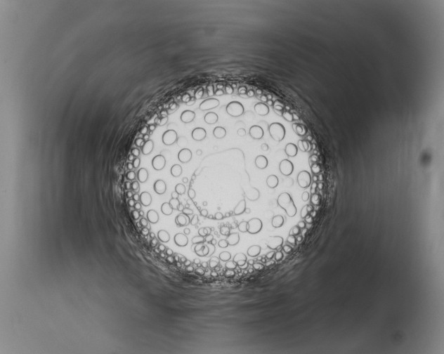 X0000114031010200911131244