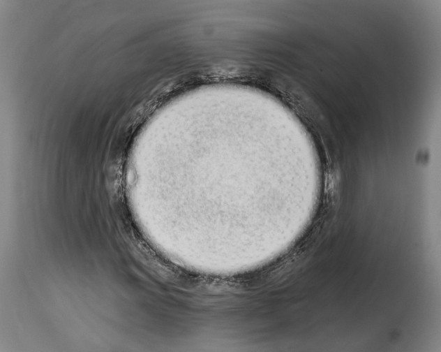 X0000114031011200911131244