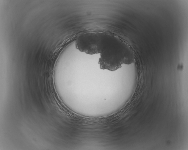 X0000114031012200911131244