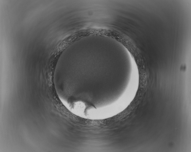 X0000114031013200911131244