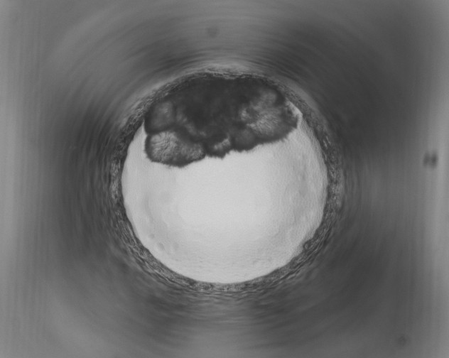 X0000114031016200911131244