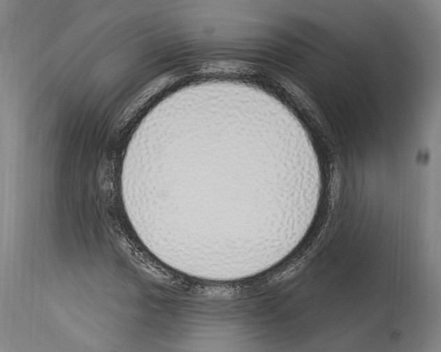 X0000114031017200911131244