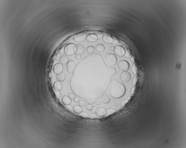 X0000114031020200911131244