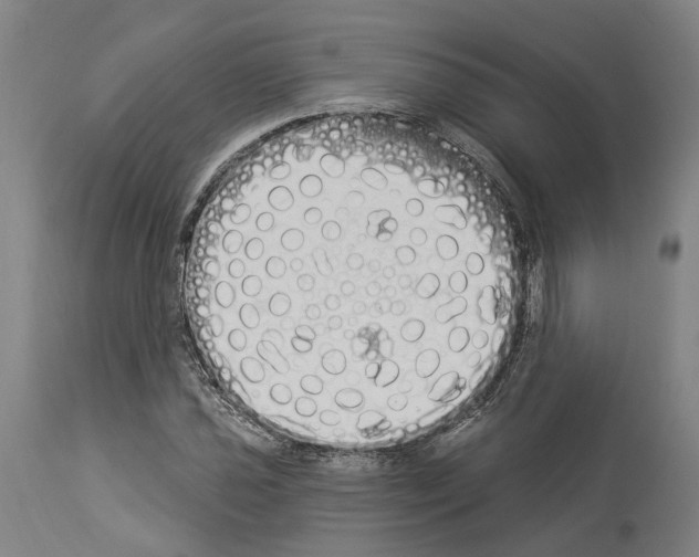 X0000114031021200911131244