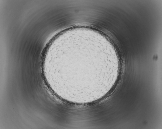 X0000114031022200911131244