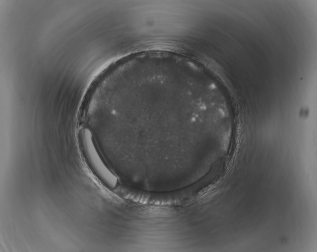 X0000114031024200911131244