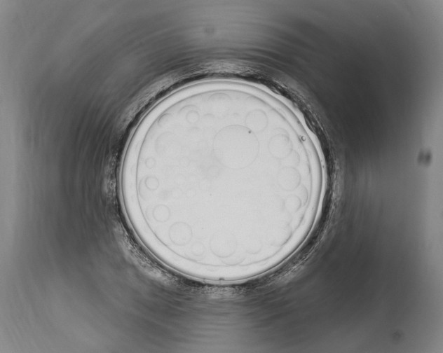 X0000114031025200911131244