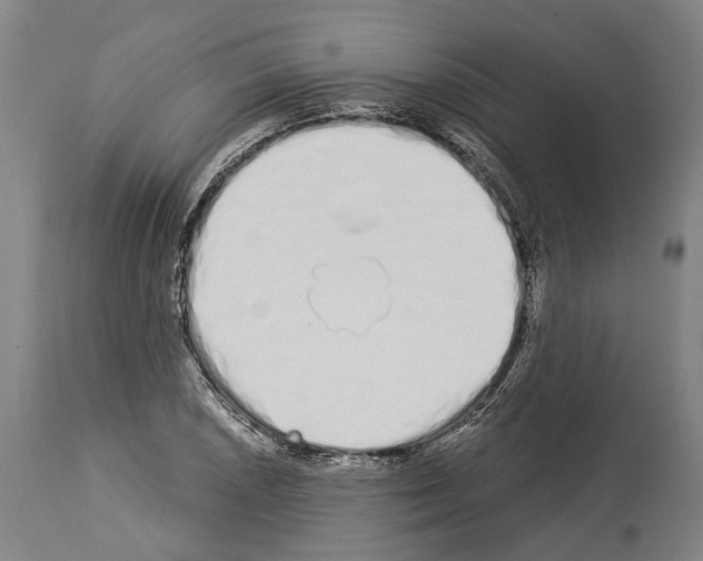 X0000114031026200911131244