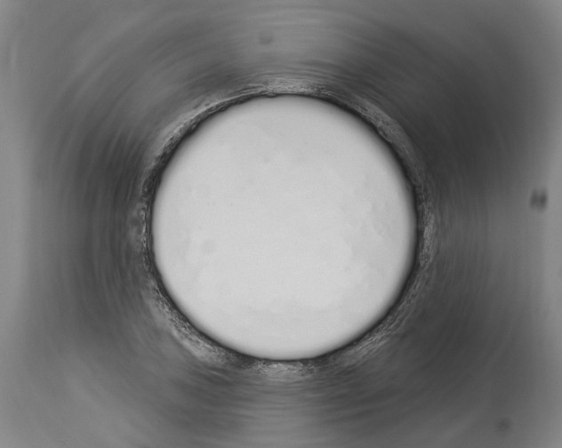 X0000114031027200911131244