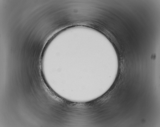 X0000114031028200911131244