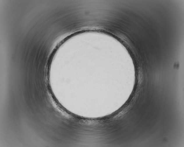 X0000114031030200911131244