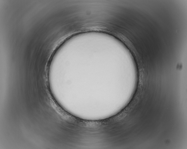 X0000114031031200911131244