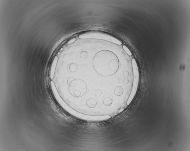 X0000114031032200911131244