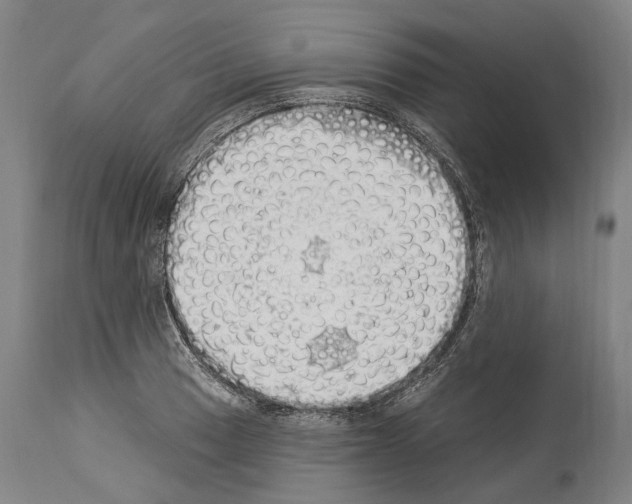 X0000114031033200911131244