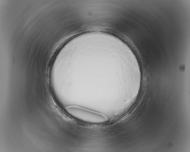 X0000114031035200911131244