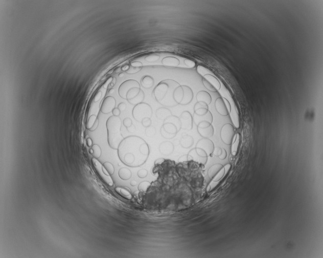 X0000114031036200911131244