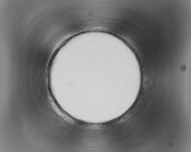 X0000114031038200911131244