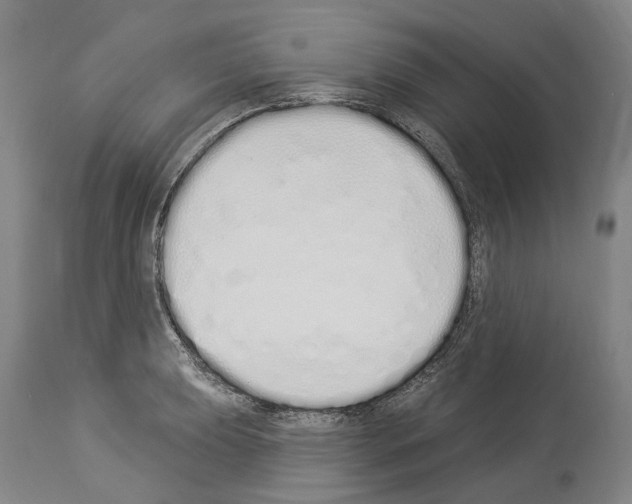 X0000114031039200911131244