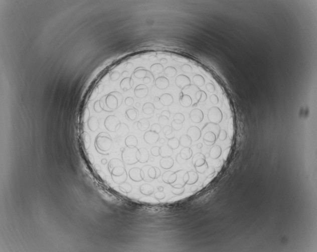 X0000114031040200911131244