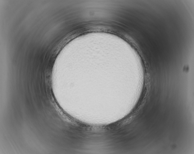 X0000114031041200911131244