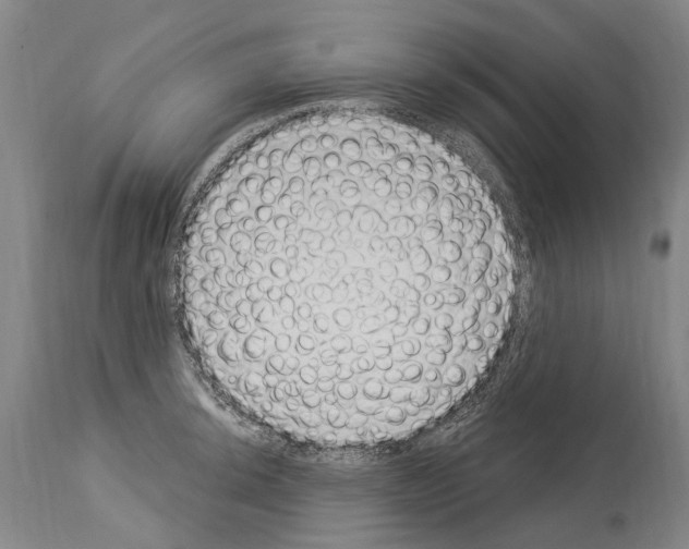 X0000114031044200911131245