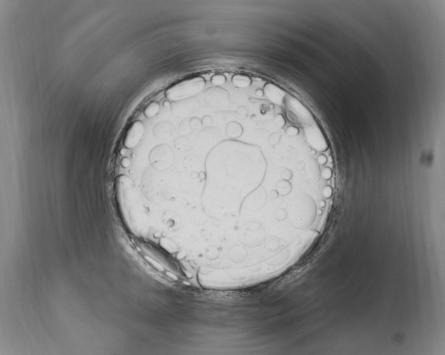 X0000114031045200911131245