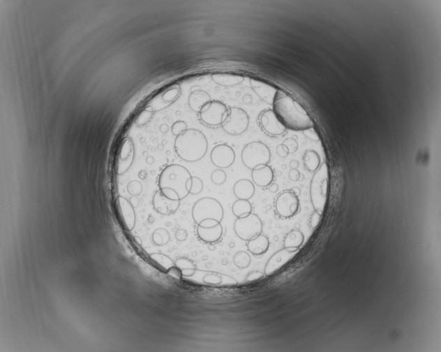 X0000114031046200911131245