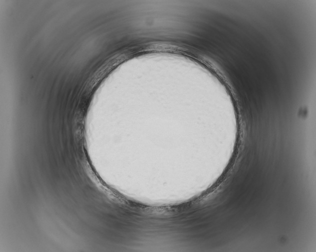 X0000114031049200911131245