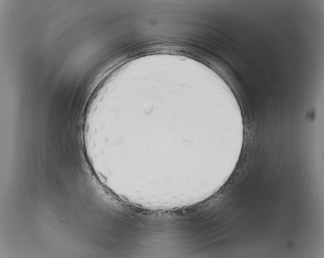 X0000114031050200911131245