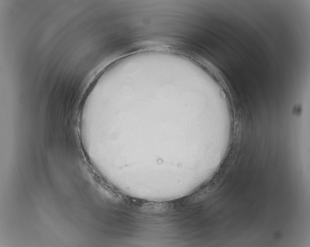 X0000114031051200911131245