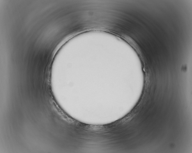 X0000114031052200911131245