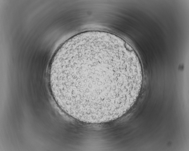 X0000114031053200911131245