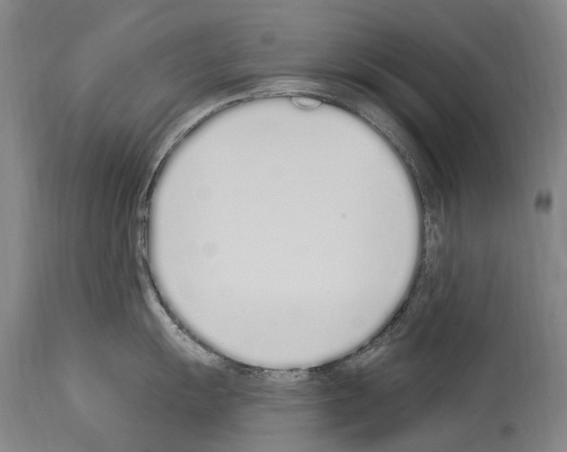 X0000114031055200911131245