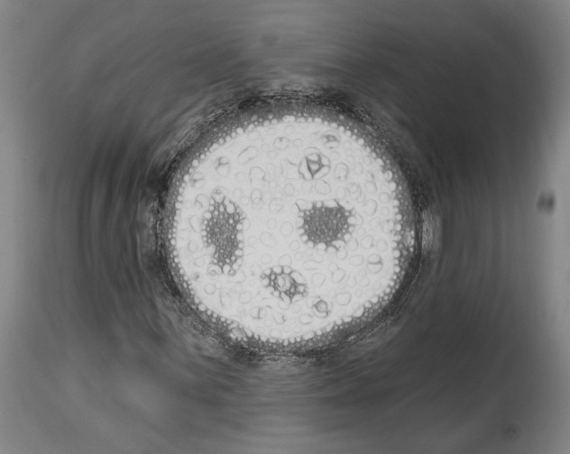 X0000114031059200911131244