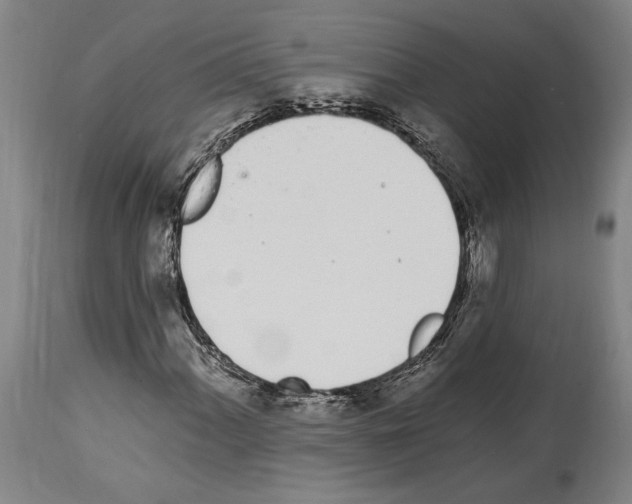 X0000114031060200911131244