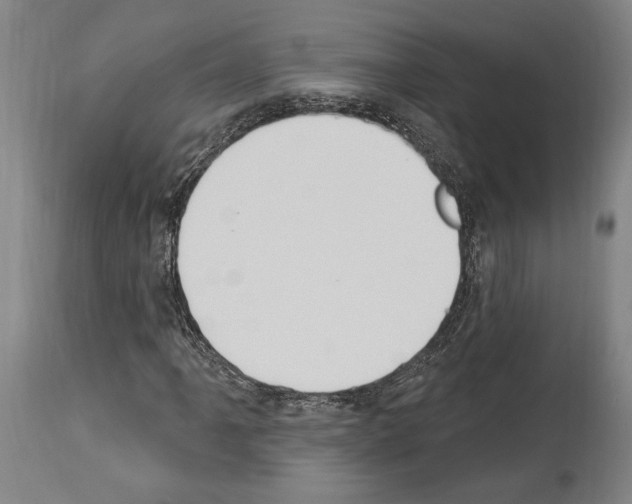 X0000114031061200911131244