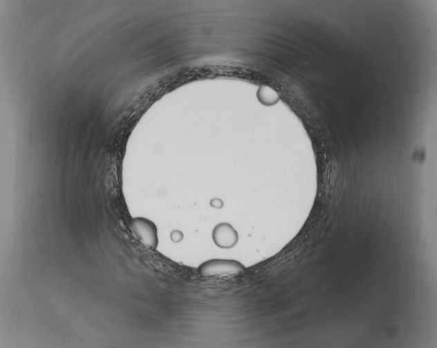 X0000114031062200911131244