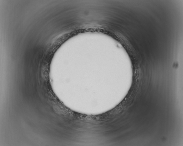 X0000114031063200911131244