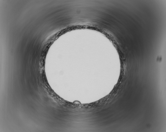 X0000114031064200911131244