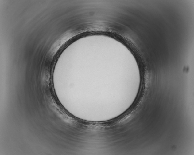 X0000114031065200911131244