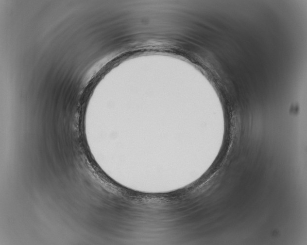 X0000114031066200911131244